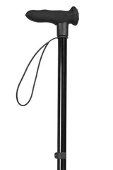 Black Walking Stick