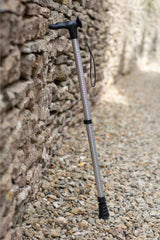 Disco Walking Stick