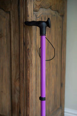 Purple Walking Stick