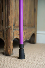 Purple Walking Stick