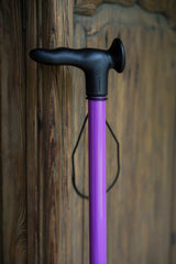 Purple Walking Stick