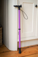 Purple Walking Stick
