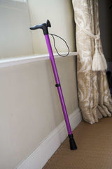Purple Walking Stick