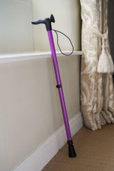 Purple Walking Stick