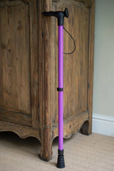 Purple Walking Stick