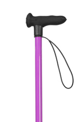 Purple Walking Stick