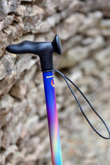 Rainbow Walking Stick