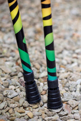 Rainbow Zebra Crutches