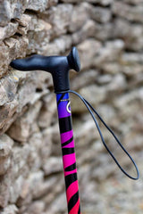 Rainbow Zebra Walking Stick