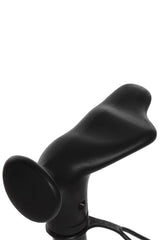 Rainbow Zebra Walking Stick