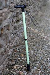 Glow-In-The-Dark Walking Stick
