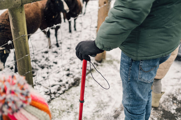 How To Navigate Winter & Foul Weather with Walking Aids