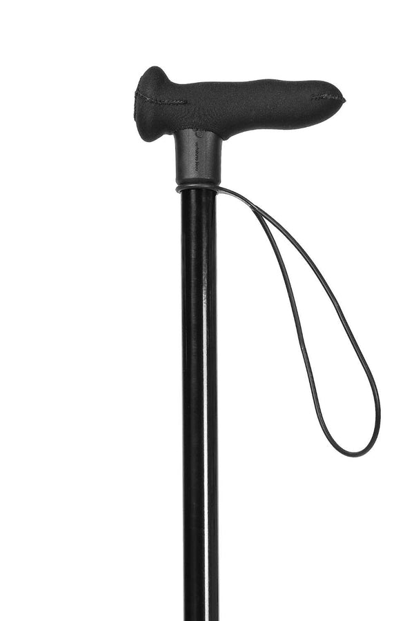 Black Walking Stick