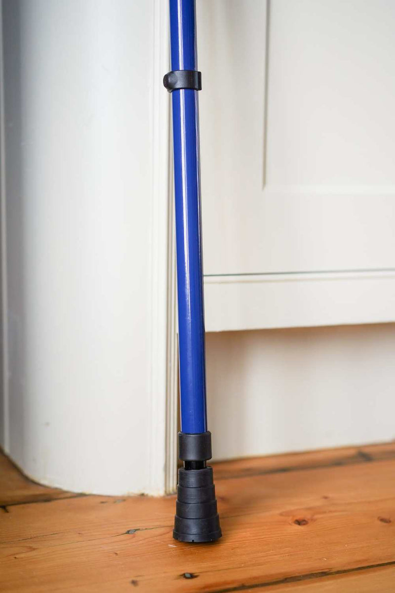 Blue Walking Stick