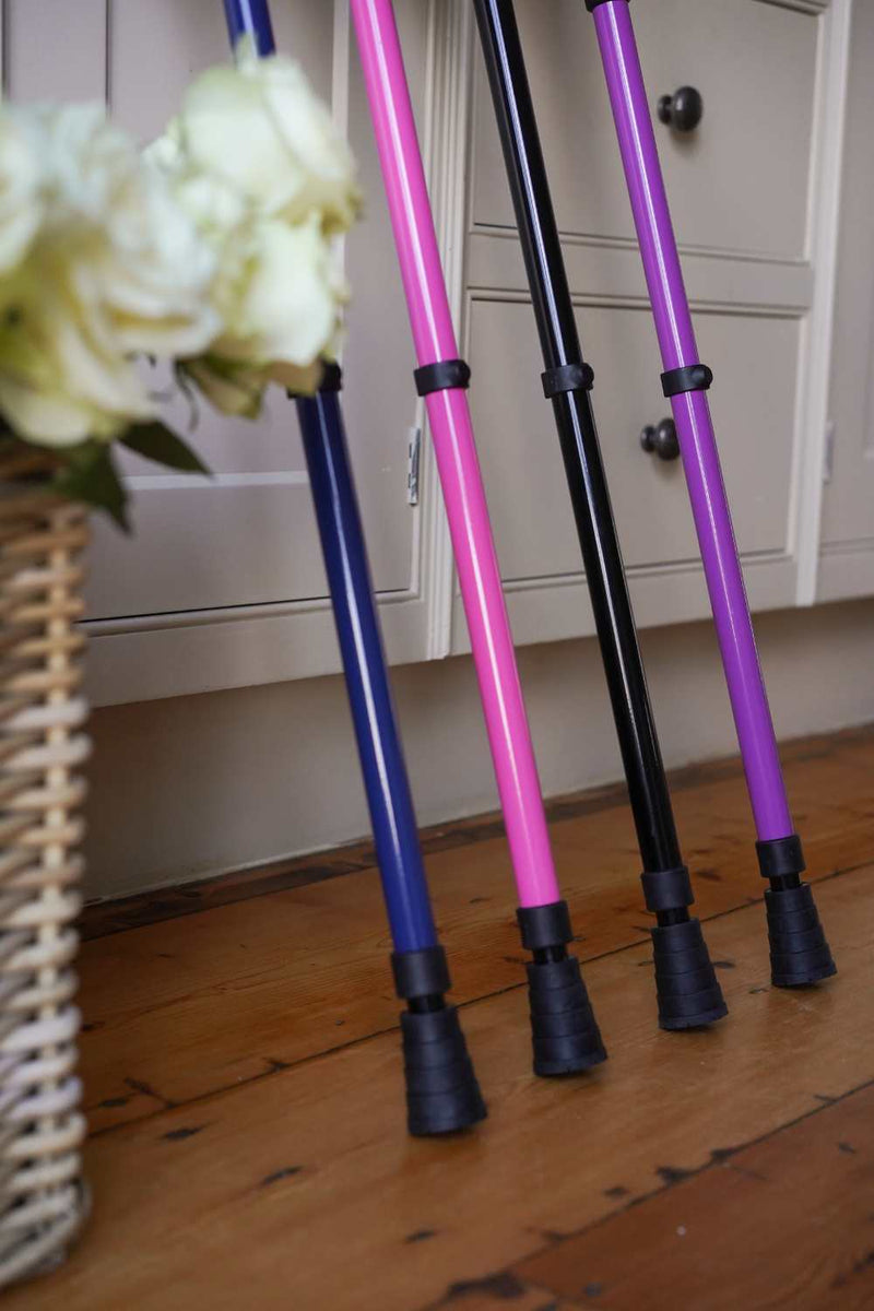 Blue Walking Stick