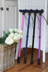 Blue Walking Stick