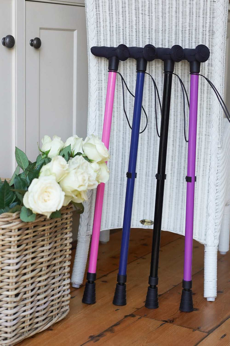Blue Walking Stick
