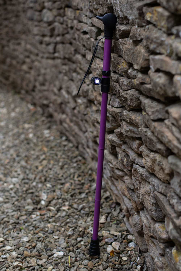 Torch for Walking Aids