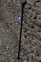 Torch for Walking Aids