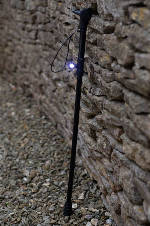 Torch for Walking Aids