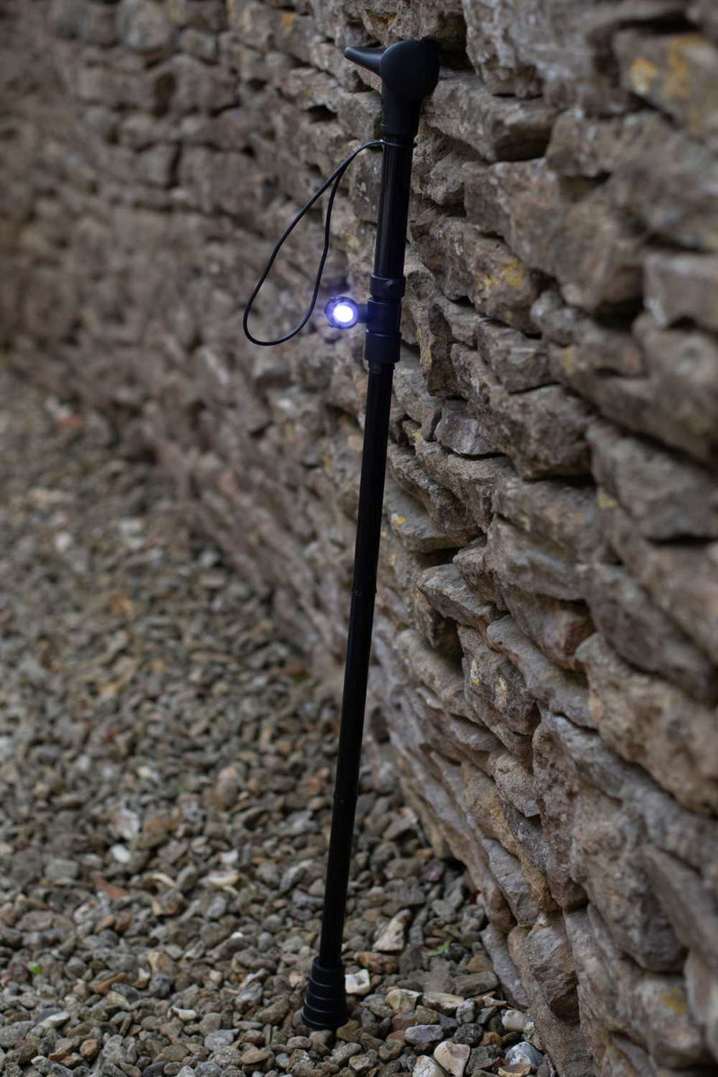 Torch for Walking Aids