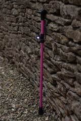 Torch for Walking Aids