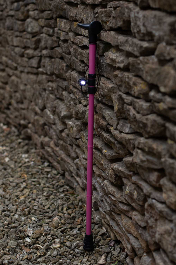 Torch for Walking Aids