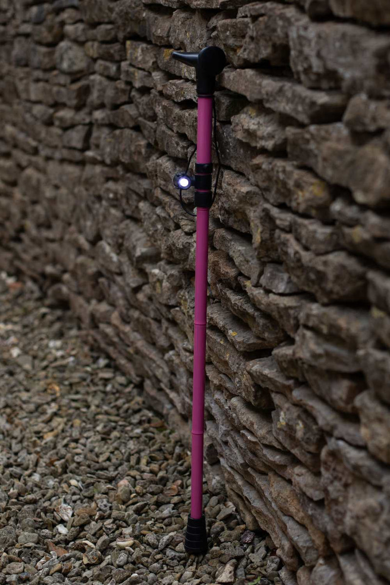 Torch for Walking Aids