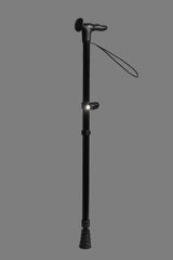 Torch for Walking Aids