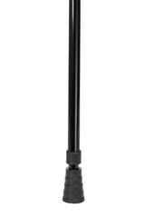 Black Walking Stick
