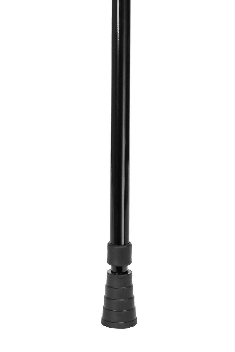 Black Walking Stick