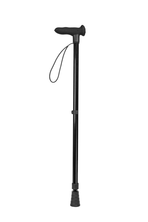 Black Walking Stick
