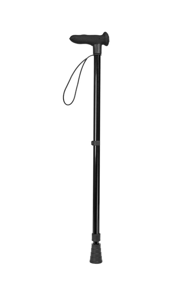 Black Walking Stick