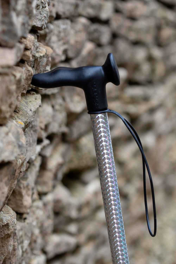 Disco Walking Stick