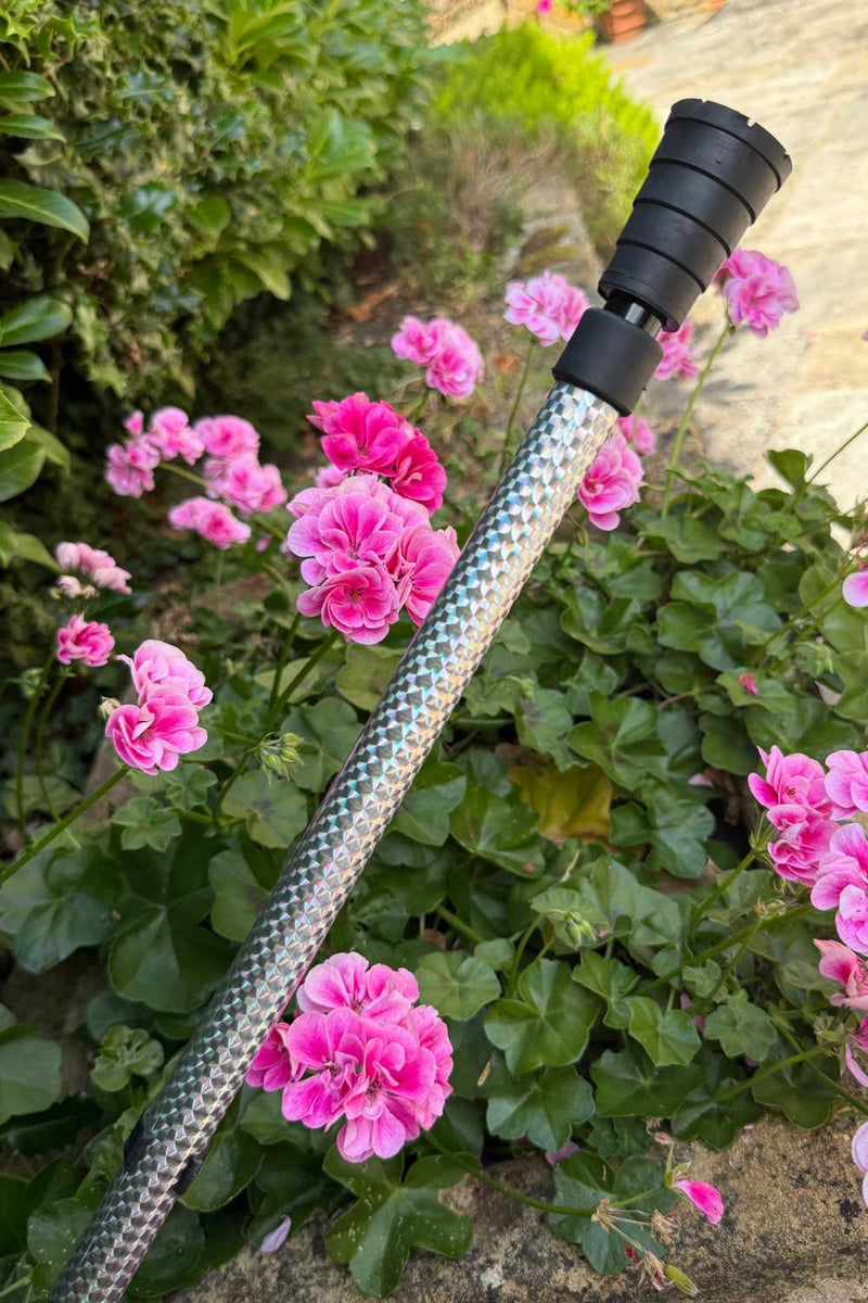 Disco Walking Stick