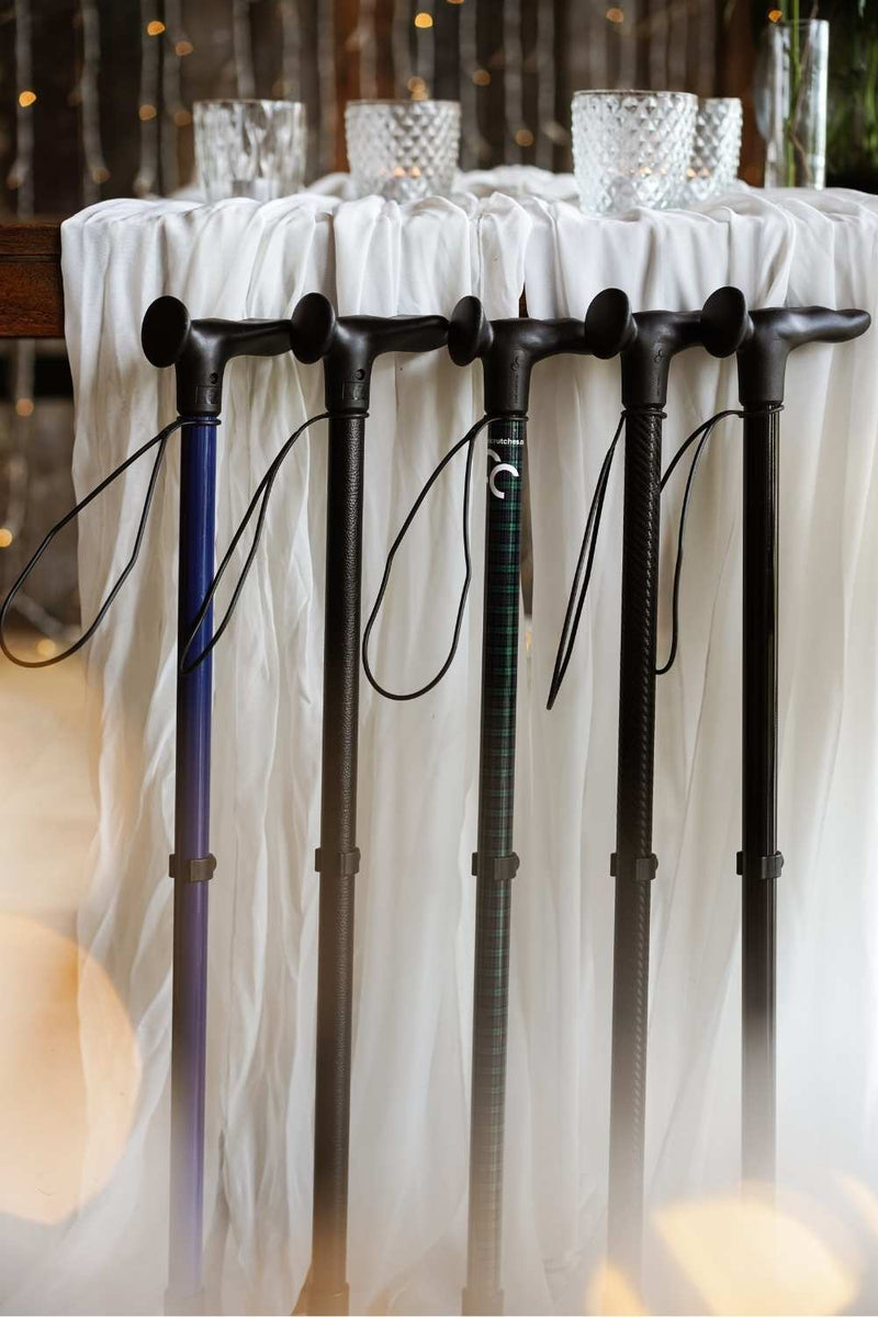 Blue Walking Stick