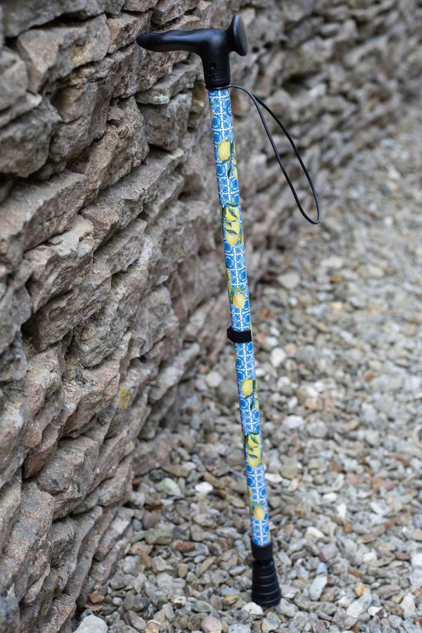Lemon Design Walking Stick