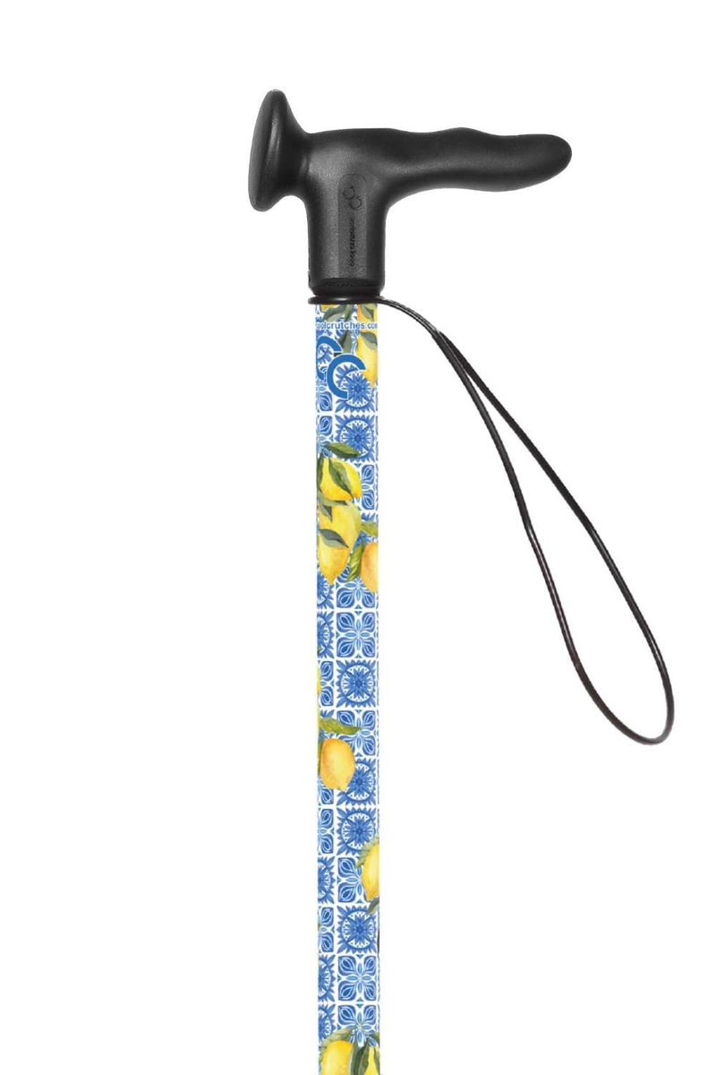 Lemon Aid Walking Stick
