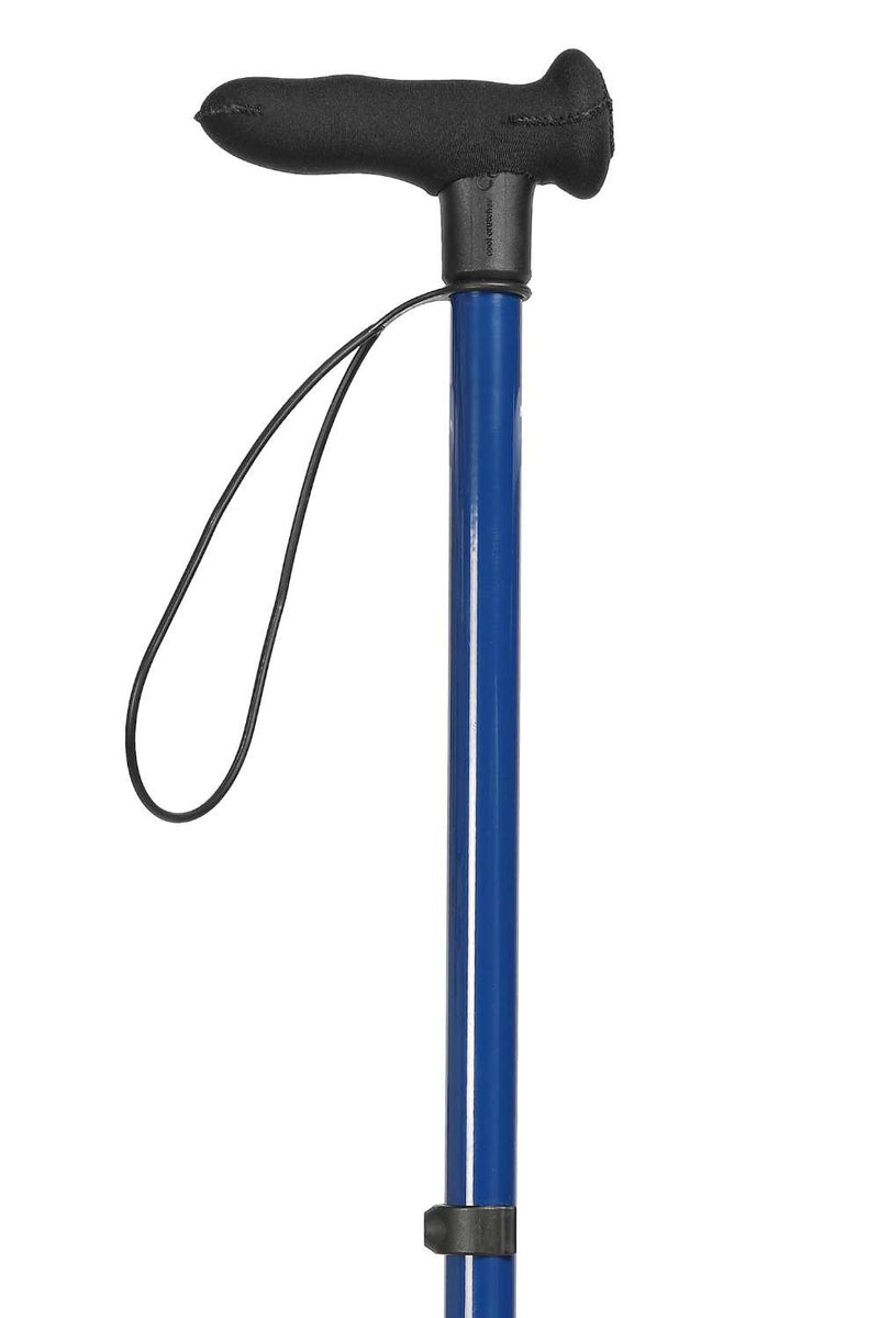 Blue Walking Stick