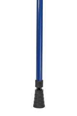 Blue Walking Stick