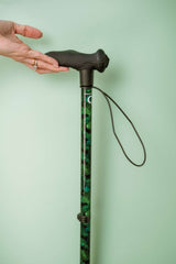 Green leaf walking stick against pale green background