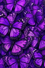 Close-up of multiple purple butterflies with detailed wings.
