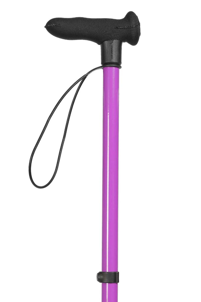Purple Walking Stick