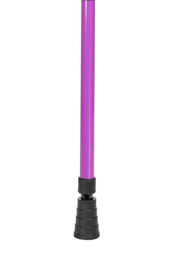 Purple Walking Stick