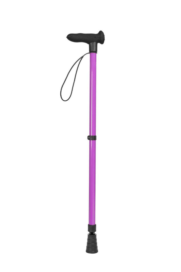 Purple Walking Stick