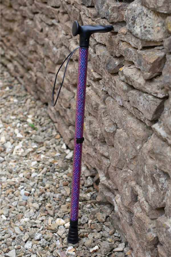 Purple and black walking stick leaning against a stone wall.