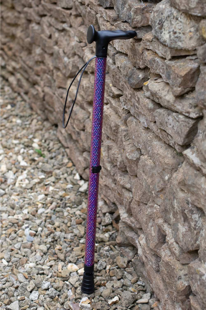 Purple and black walking stick leaning against a stone wall.