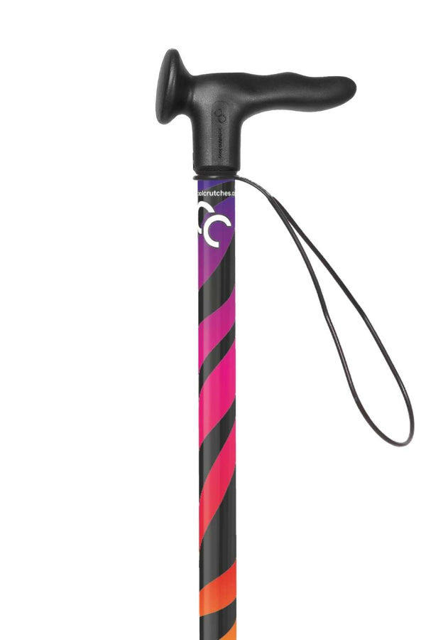 Rainbow Zebra Walking Stick