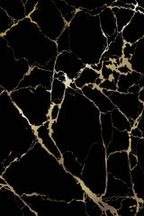 Scars of Gold Walking Stick 