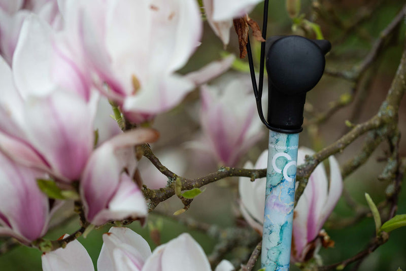 Wanderlust Walking Stick